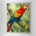 Guacamaya Tricolor